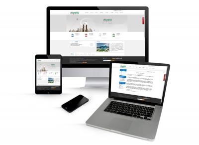 派幸化工(gōng)網站設計