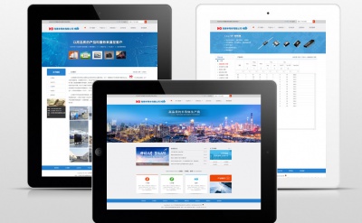 海德電(diàn)子-企業(yè)網站設計